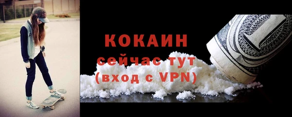 крисы Пестово