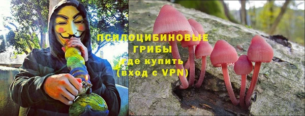 прущий лед Няндома