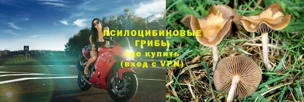 прущий лед Няндома