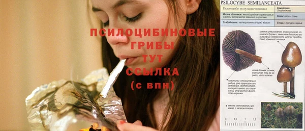тгк Бутурлиновка