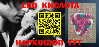 прущие грибы Конаково